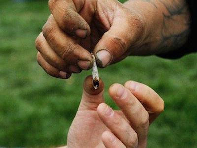 NAACP Endorses WA's Marijuana Initiative