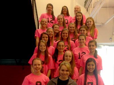 AMHS Volleyball Promotes Breast Cancer Research