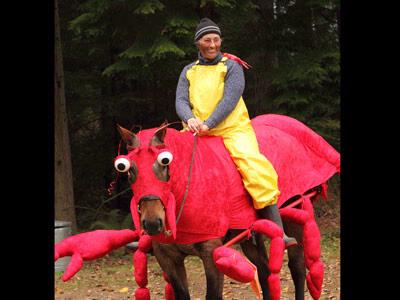 Horse and rider costume contest