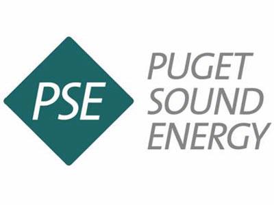 PSE Electric Customers to Receive One-Time Credit