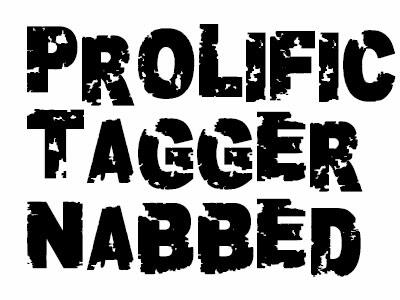 Prolific tagger nabbed
