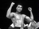 Celebrating Muhammad Ali      