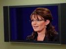 Palin takes on 