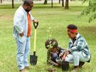 PUD Launches TREE Power Grant Program